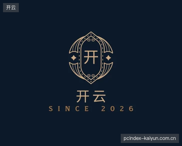 了解开云公司